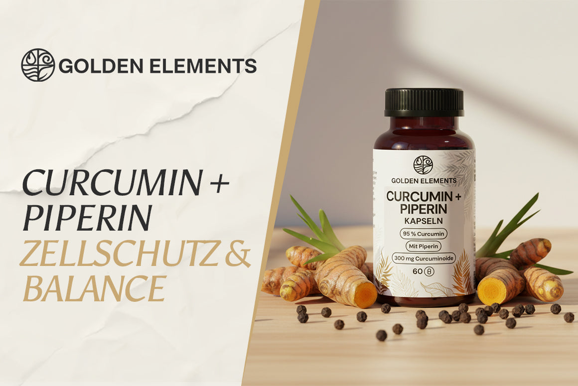 Curcumin + Piperin: Zellschutz, Bioverfügbarkeit und moderne Ernährung im Fokus