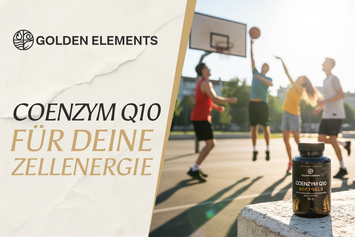 Coenzym Q10 im Alltag: Energie auf Zellebene einfach erklärt