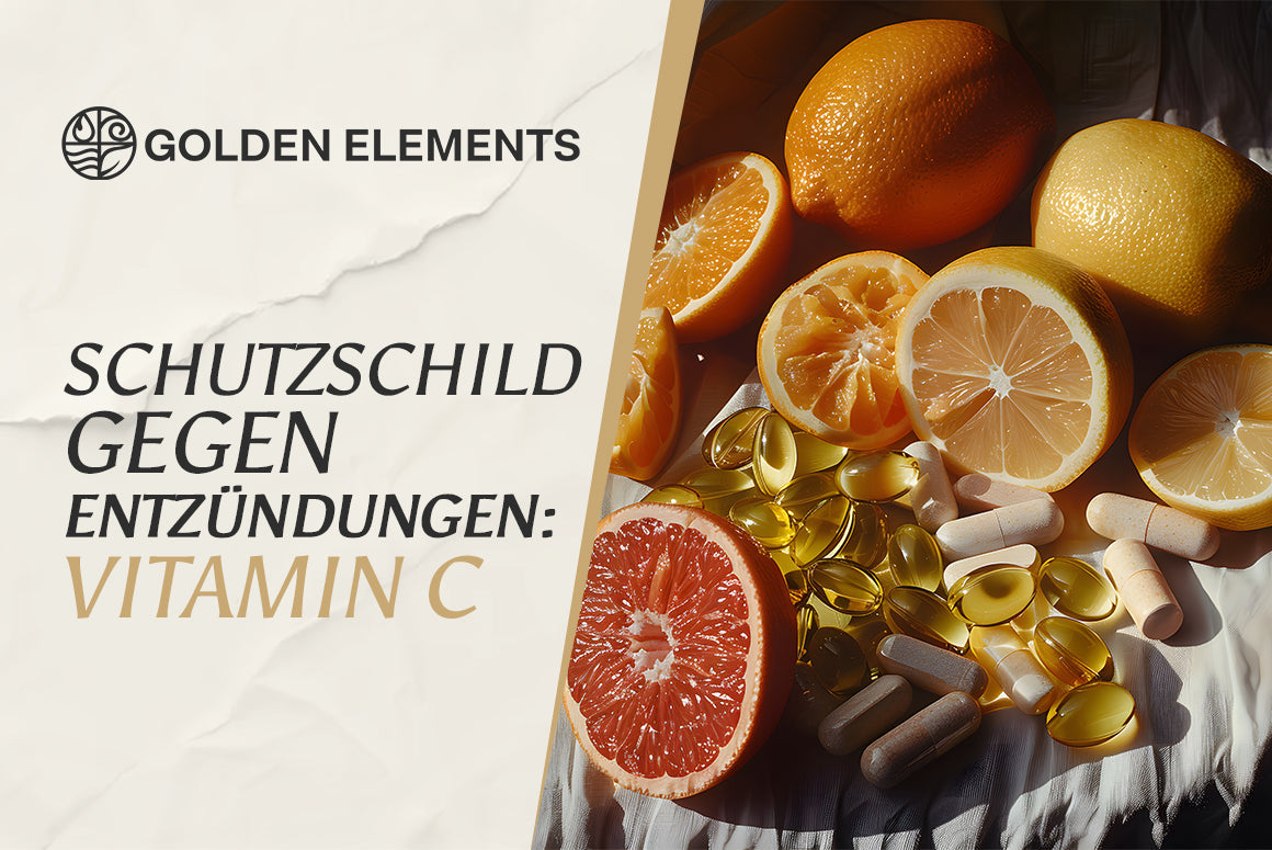 Darstellung oxidativer Stress und antioxidativer Schutz