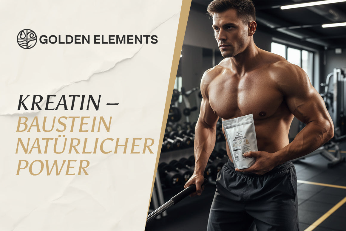 Kreatin Monohydrat: Wissenschaftliche Einblicke in Energie, Leistung & Muskelstoffwechsel