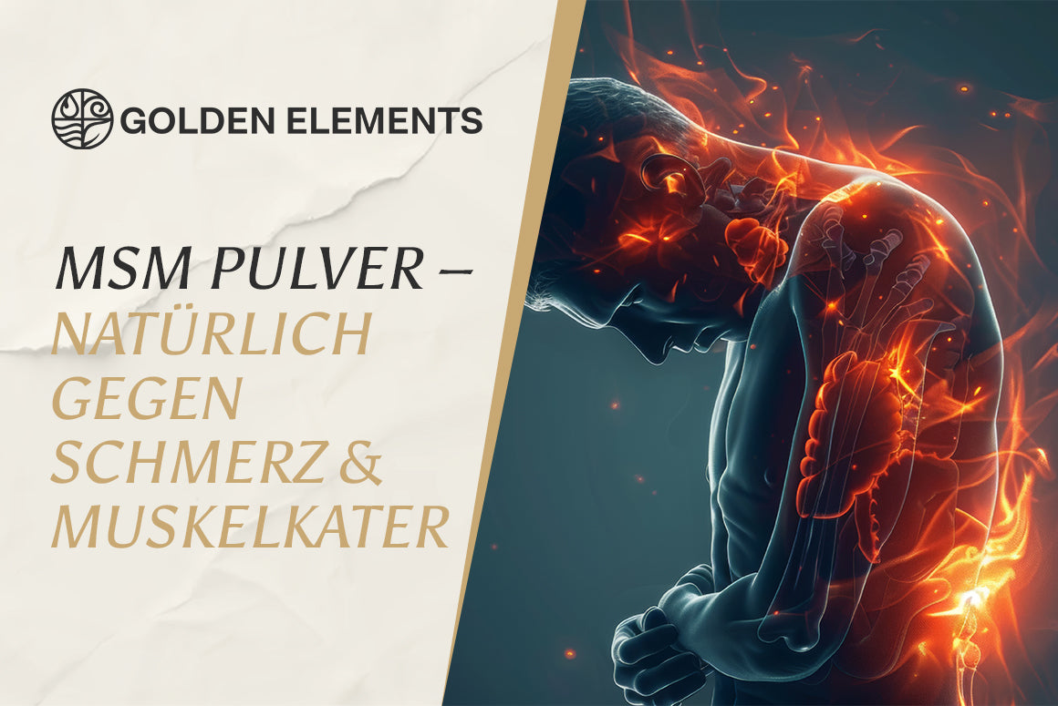 Nahaufnahme von MSM Pulver auf Holzlöffel, daneben weiße Kapseln, Symbol für Nahrungsergänzung für Gelenke, Haut und Wohlbefinden.