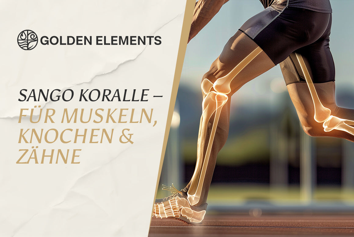 Sango Meeres Koralle Pulver mit natürlichem Calcium und Magnesium in Holzlöffel vor maritimer Kulisse