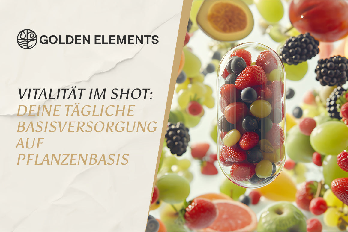 Multivitamin und Mineralstoffe – natürliche Nahrungsergänzung mit Vitaminen, Mineralien und Pflanzenextrakten