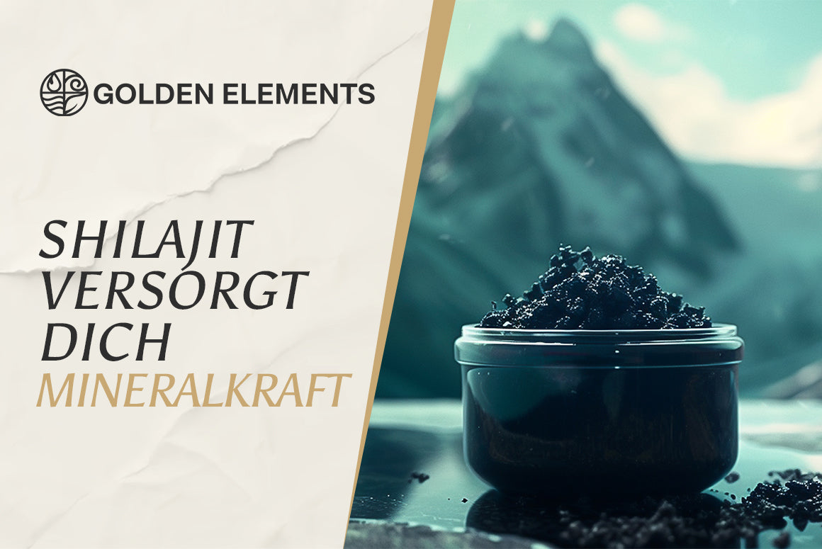 Die natürliche Vielfalt des Himalaya: Was steckt wirklich in Shilajit?