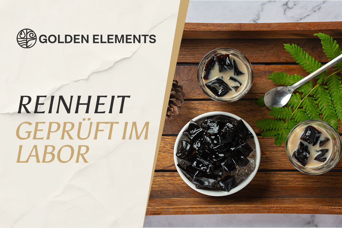 Tradition trifft Wissenschaft: Wie Forscher die Wirkstoffe von Shilajit untersuchen