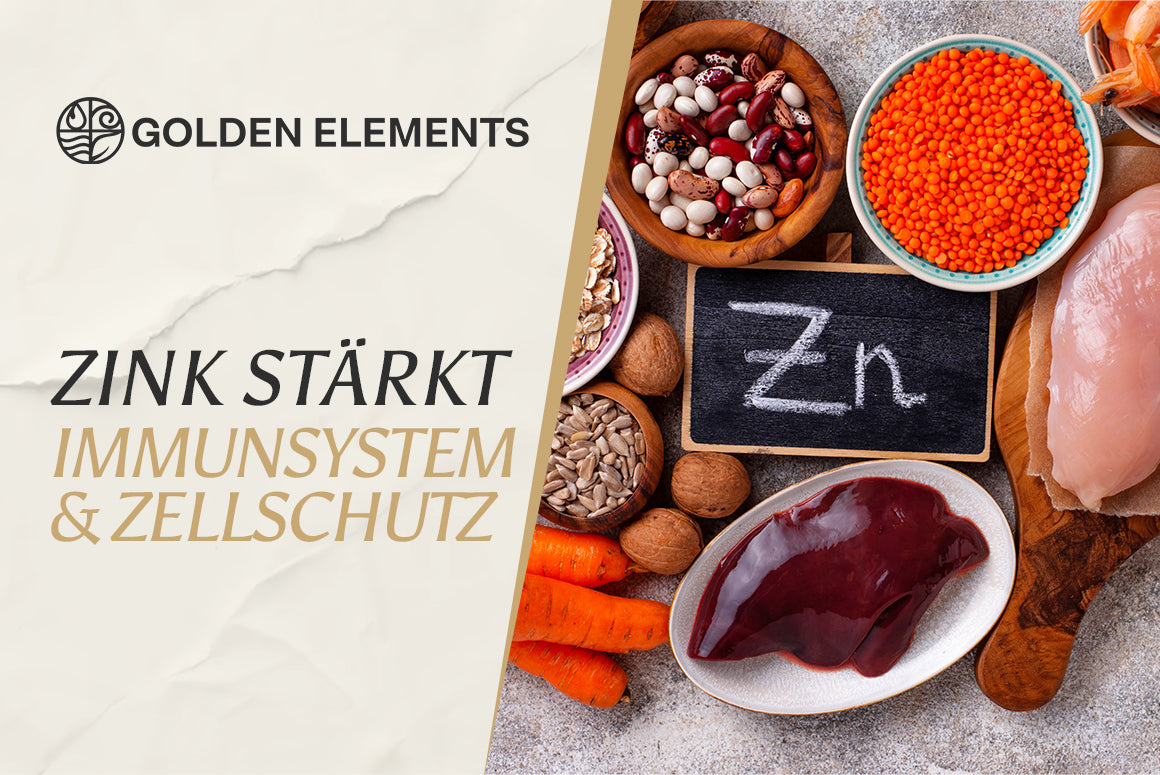 Zink und seine Bedeutung für die Gesundheit – Wissenschaftlich erklärt