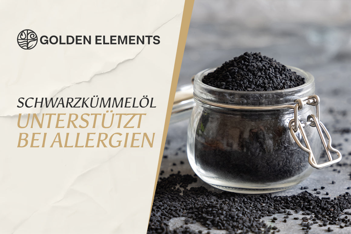 Schwarzkümmel (Nigella sativa) bei Allergien und Atemwegsbeschwerden: Einblicke in die Forschung