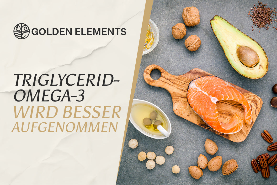 Omega-3 Bioverfügbarkeit: Welche Form der Fettsäuren ist am effektivsten?