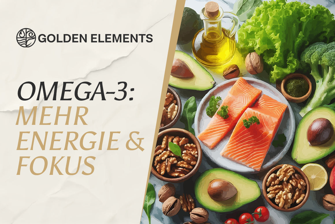 Omega-3 Bioverfügbarkeit: Was die Dyerberg-Studie über die beste Aufnahmeform verrät