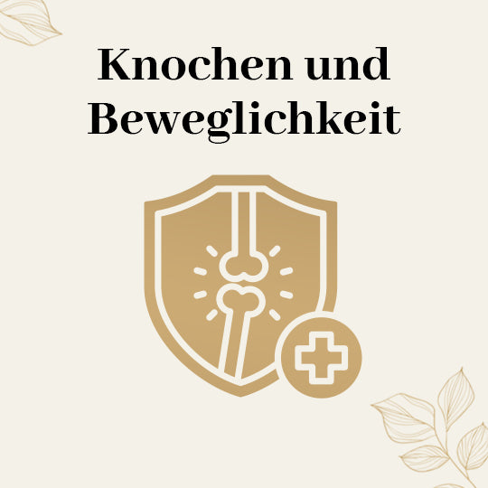 Knochen und Beweglichkeit GOLDEN ELEMENTS