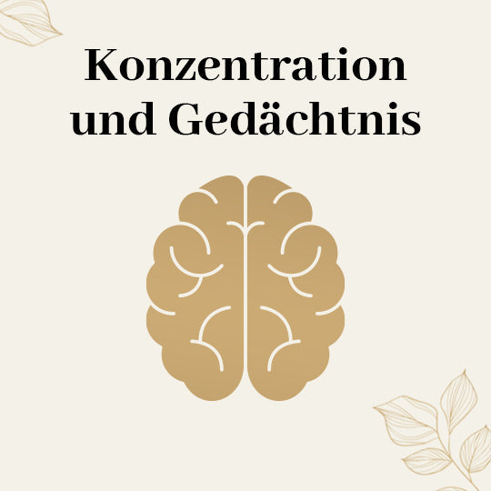 Konzentration und Gedächtnis GOLDEN ELEMENTS