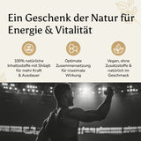 Premium Shilajit Gummies mit Fulvinsäure & Huminsäure