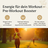 Pre-Workout Booster - 520g Pulver