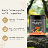 Pre-Workout Booster - 520g Pulver