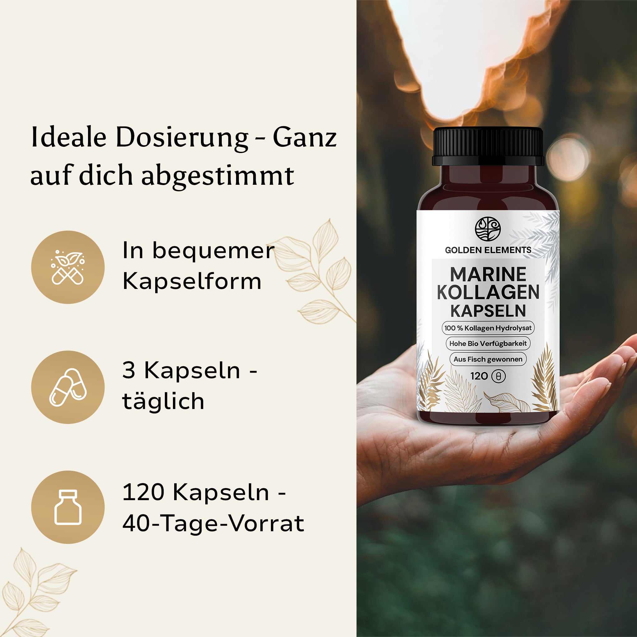 Kollagen Halal Fisch Marine - Kapseln