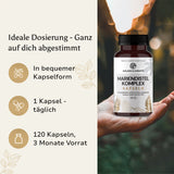 Mariendistel - Artischocke - Löwenzahn Komplex - Kapseln