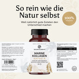 Kollagen Halal Fisch Marine - Kapseln