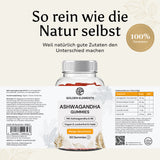 Ashwagandha + Vitamin B6 Gummies - 60 Stk.