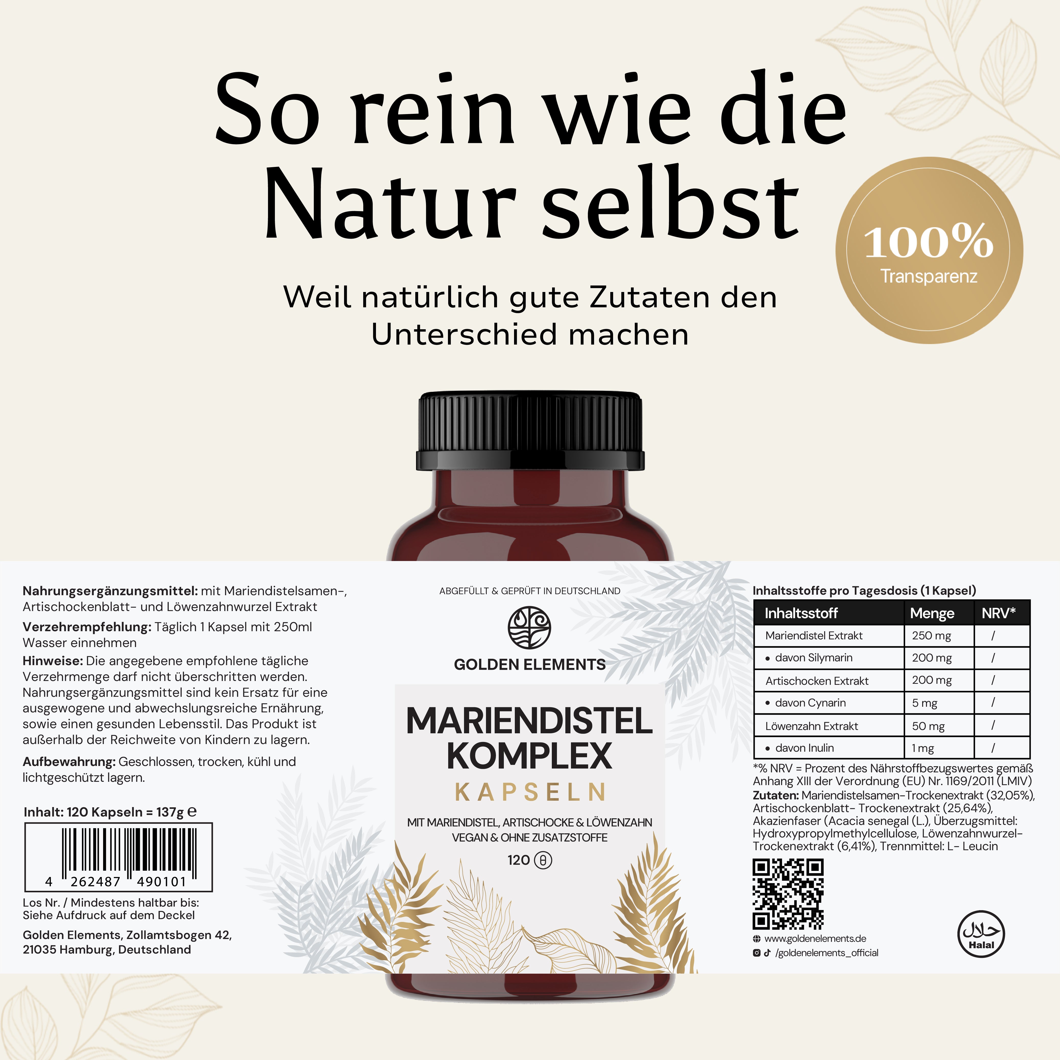 Mariendistel - Artischocke - Löwenzahn Komplex - Kapseln