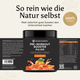 Pre-Workout Booster - 520g Pulver