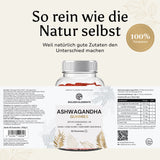 Premium Ashwagandha - Gummies