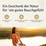 Werbegrafik mit dem Text 'Ein Geschenk der Natur für ein gutes Bauchgefühl' und Icons für 3-Fach-Komplex, Mariendistel, Artischocke, Löwenzahn und hohe Bioverfügbarkeit.