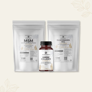 Gelenk Support Bundle