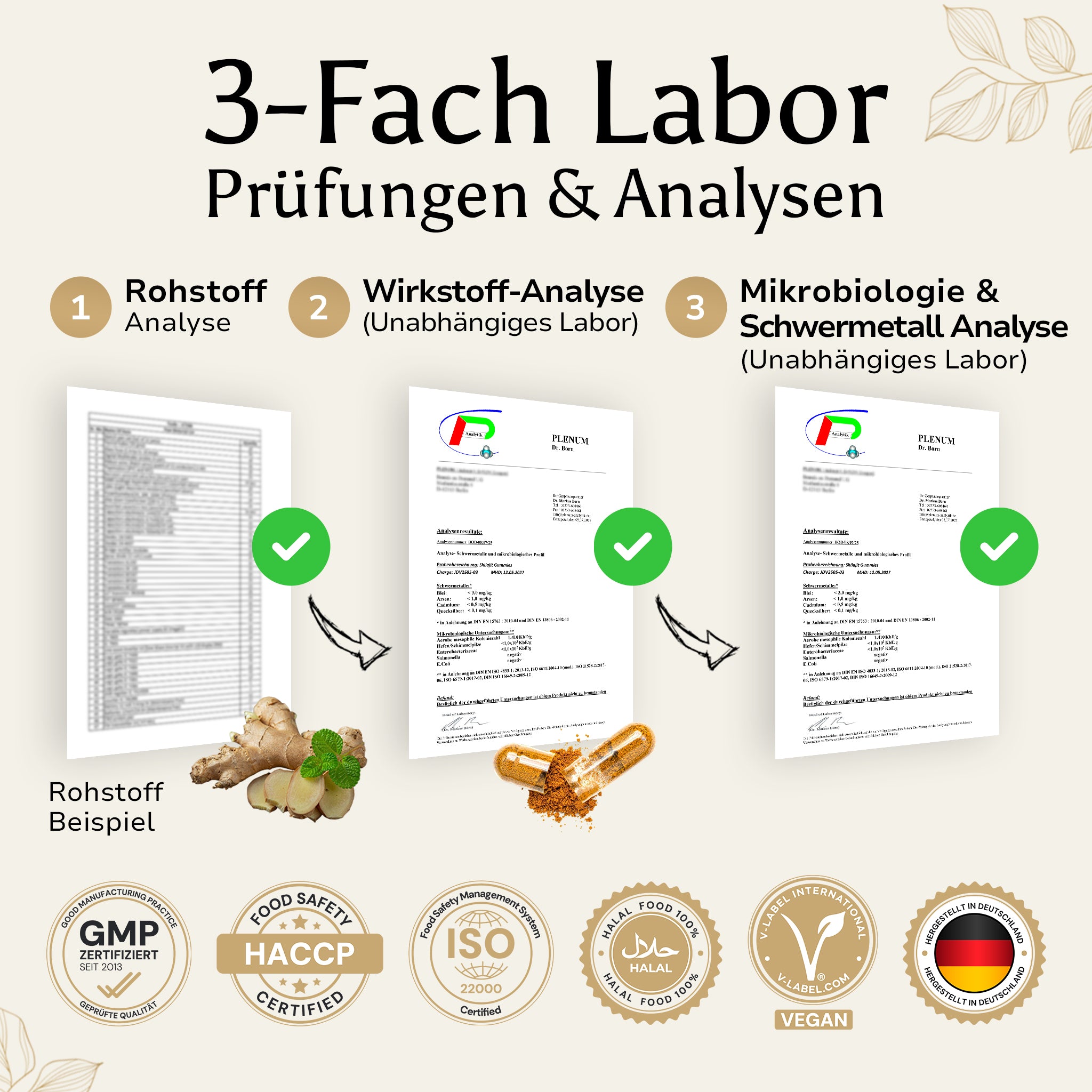 Golden Elements Clear Whey Protein Zitronen-Eistee Geschmack – 3-fach laborgeprüfte Qualität mit Analysezertifikaten