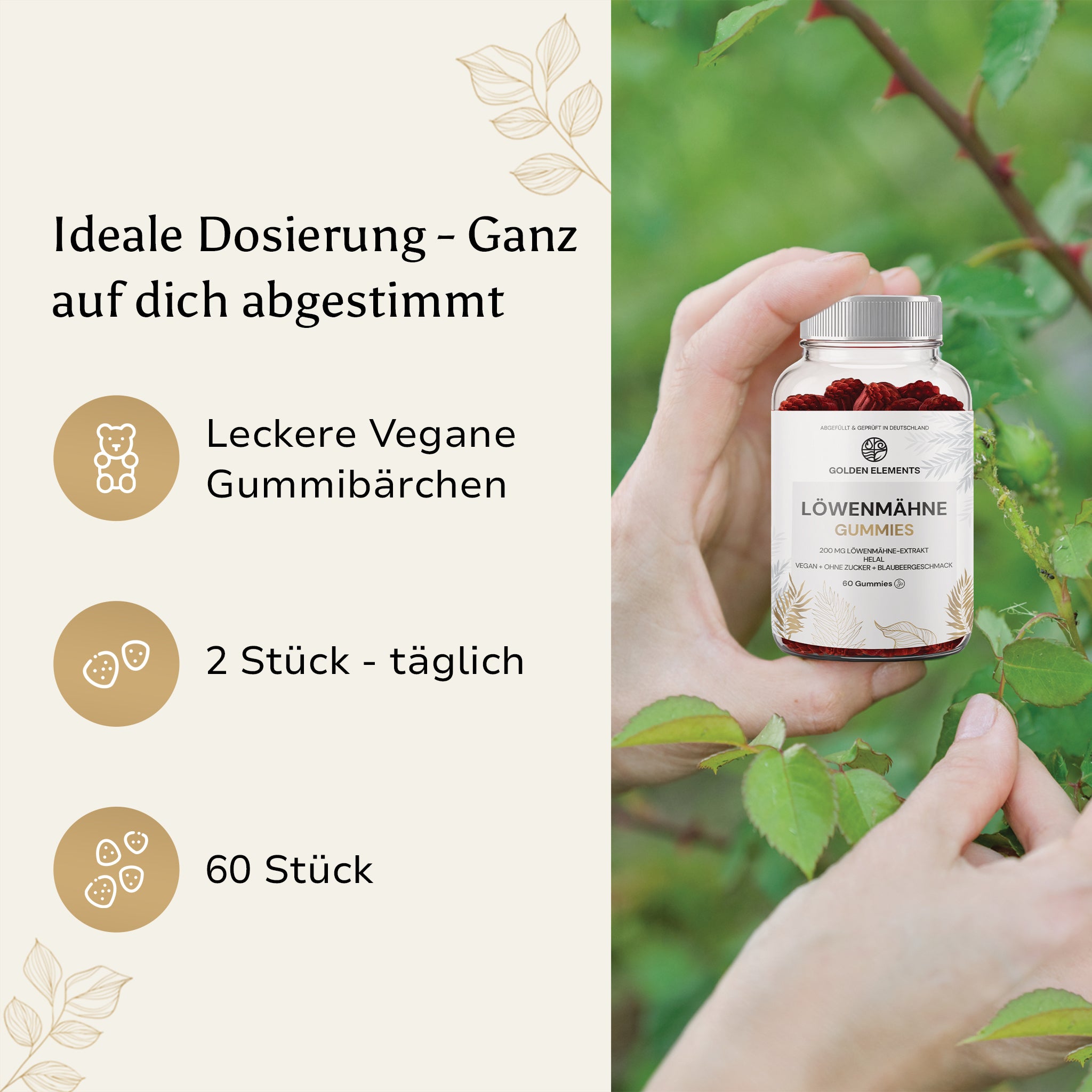 Eine Hand hält eine Dose Löwenmähne Gummies von Golden Elements, mit einer natürlichen Kulisse im Hintergrund. Infografik zeigt Dosierung und Vorteile.