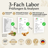 Premium Shilajit Gummies mit Fulvinsäure & Huminsäure
