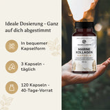 Kollagen Halal Fisch Marine - Kapseln