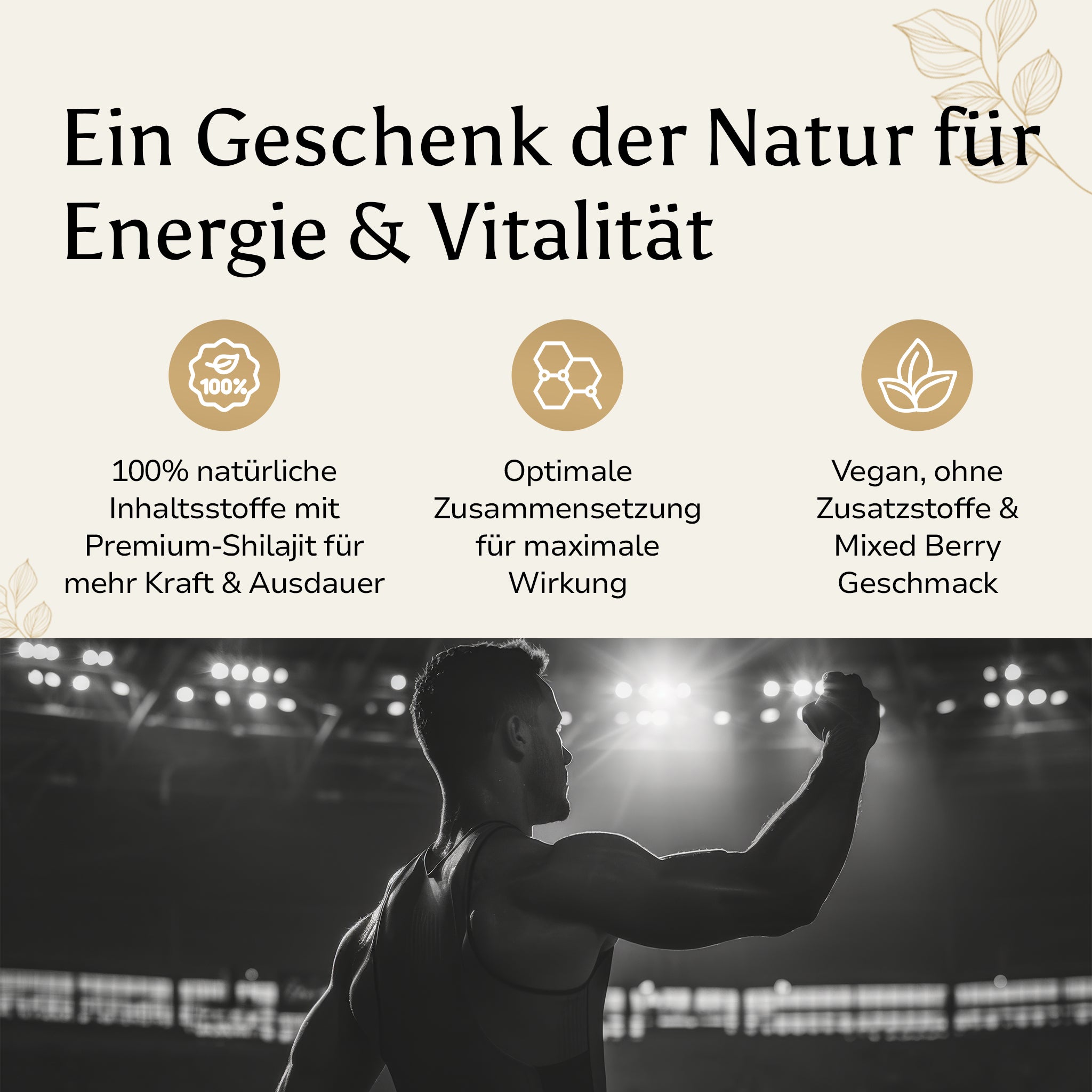 Shilajit Gummies – 100 % natürliche Energiequelle für mehr Ausdauer, Vitalität und optimale Leistung