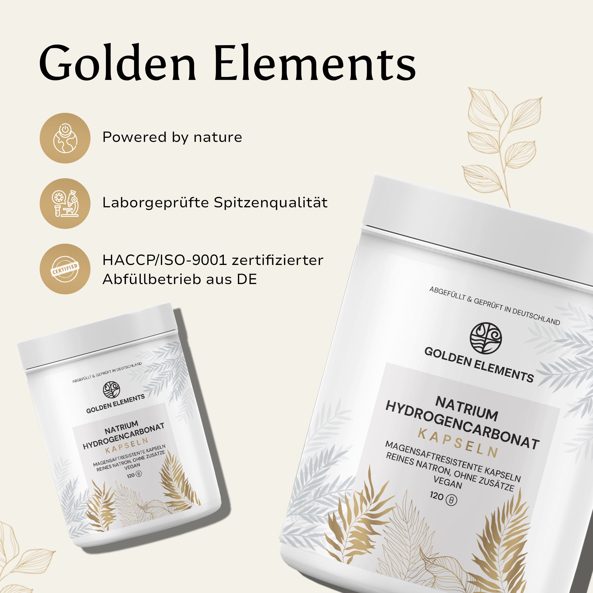 Natrium Hydrogencarbonat Kapseln mit Spitzenqualität – Hergestellt in zertifizierter deutscher Produktion.