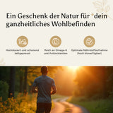  Mann joggt bei Sonnenuntergang – dargestellt als Symbol für ganzheitliches Wohlbefinden durch Schwarzkümmelöl von Golden Elements