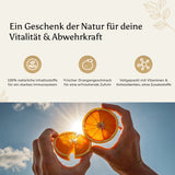 Eine stilvolle Produktaufnahme der Vita Shield Plus+ Immunshots von Golden Elements, mit minimalistischem Hintergrund.