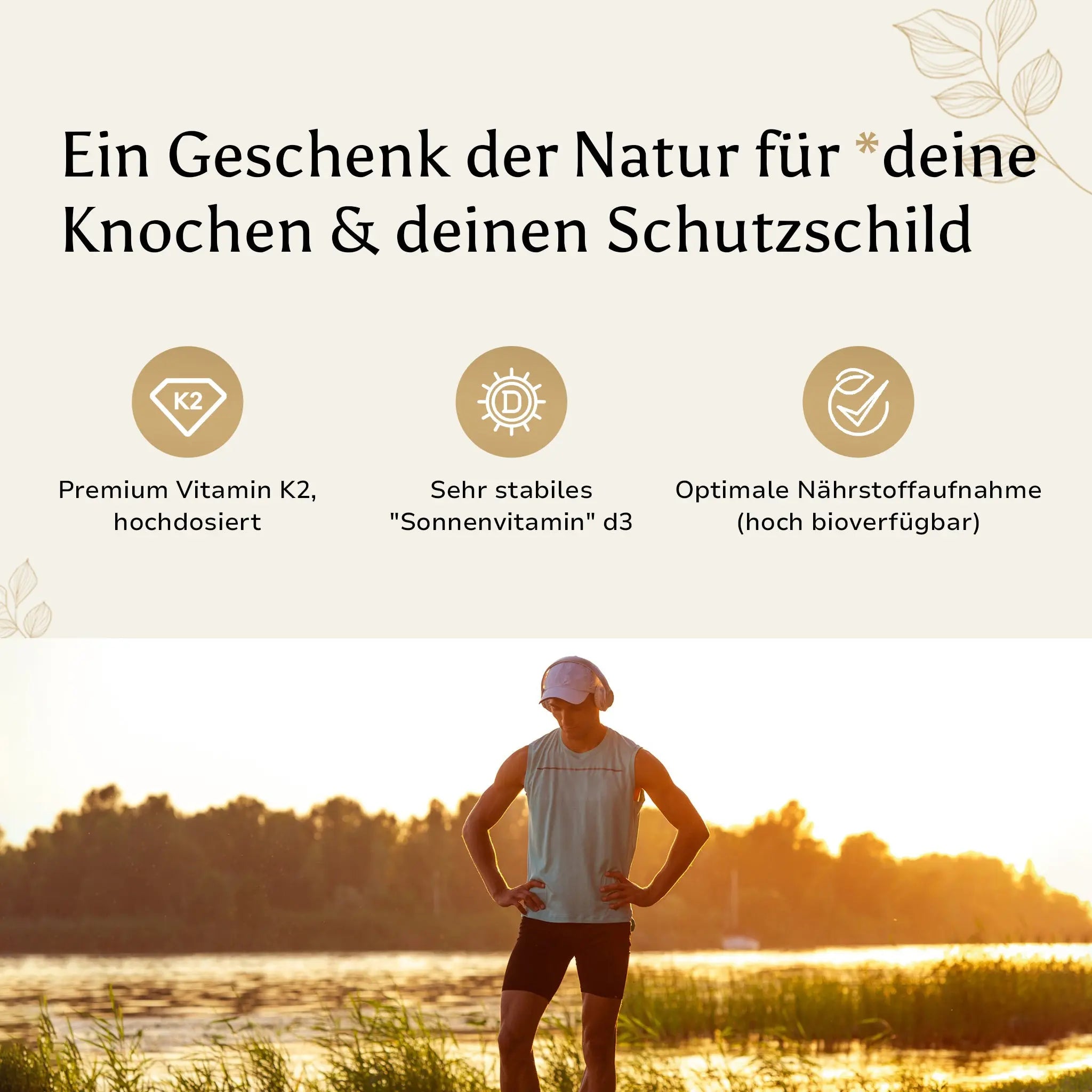 Vorteile von Vitamin D3 + K2 Tropfen – Natürliche Unterstützung für Knochen und Immunsystem